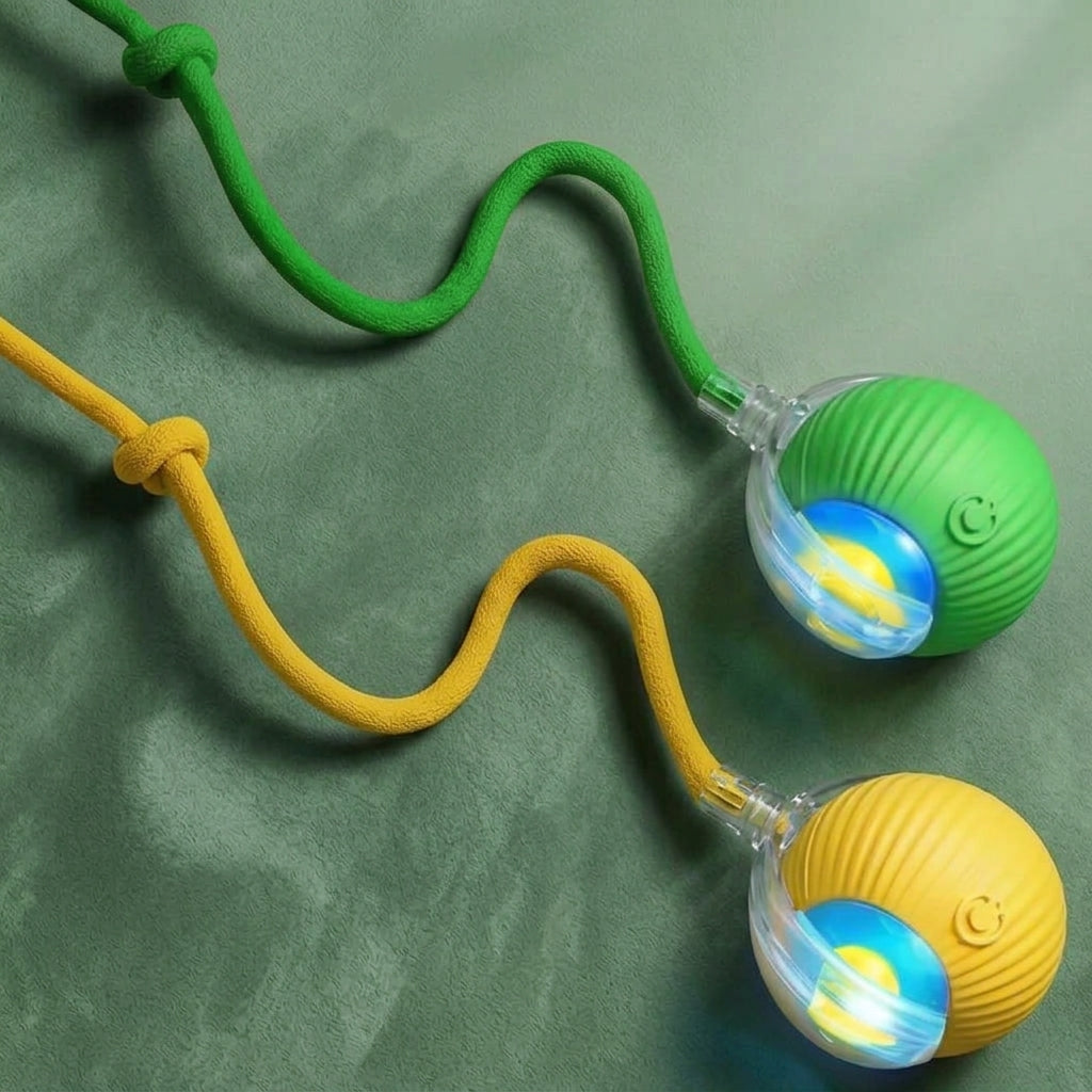 jouet balle électrique pour chat